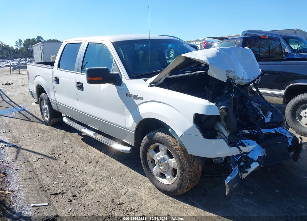 2009 FORD F-150 XL/XLT VIN: 1FTRW12859FB11961