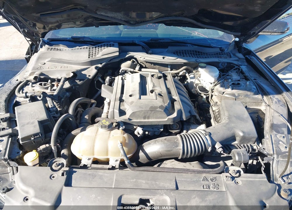 2019 FORD MUSTANG ECOBOOST VIN: 1FA6P8TH1K5108791