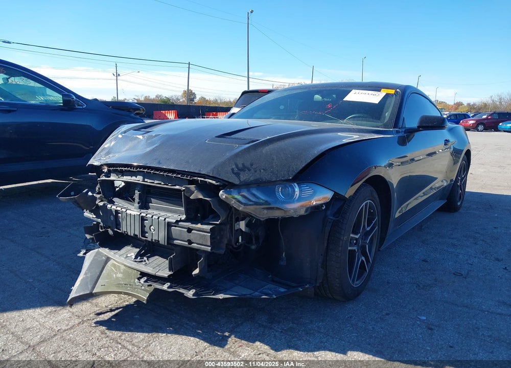 2019 FORD MUSTANG ECOBOOST VIN: 1FA6P8TH1K5108791