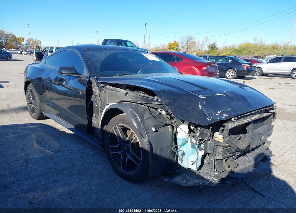 2019 FORD MUSTANG ECOBOOST VIN: 1FA6P8TH1K5108791