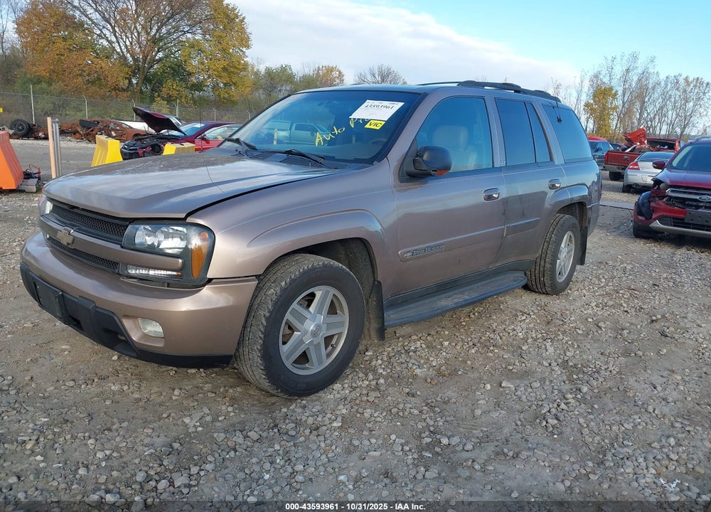2002 CHEVROLET TRAILBLAZER LTZ VIN: 1GNDT13S822335811