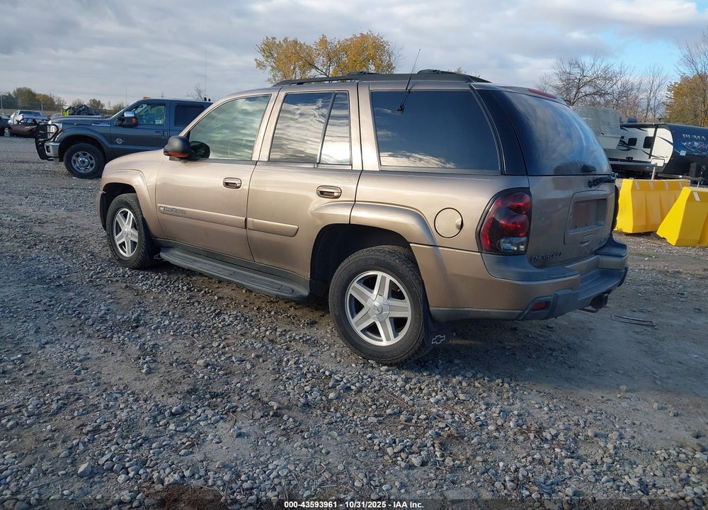 2002 CHEVROLET TRAILBLAZER LTZ VIN: 1GNDT13S822335811