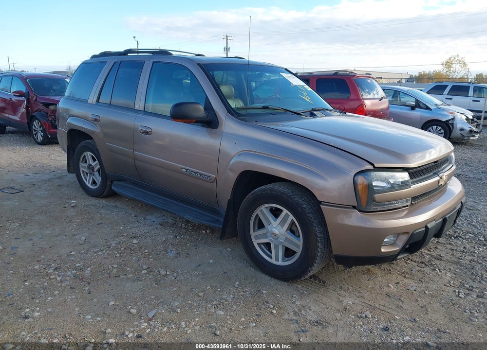 2002 CHEVROLET TRAILBLAZER LTZ VIN: 1GNDT13S822335811