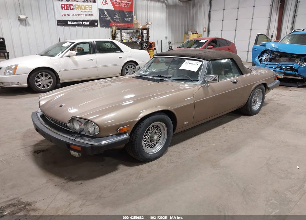 1988 JAGUAR XJS VIN: SAJNV5845JC146973
