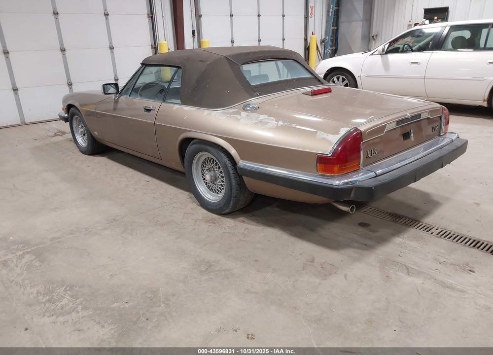 1988 JAGUAR XJS VIN: SAJNV5845JC146973