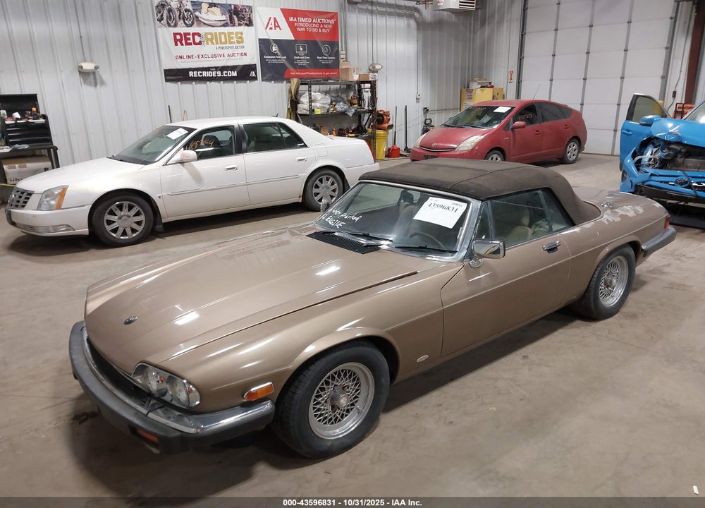 1988 JAGUAR XJS VIN: SAJNV5845JC146973