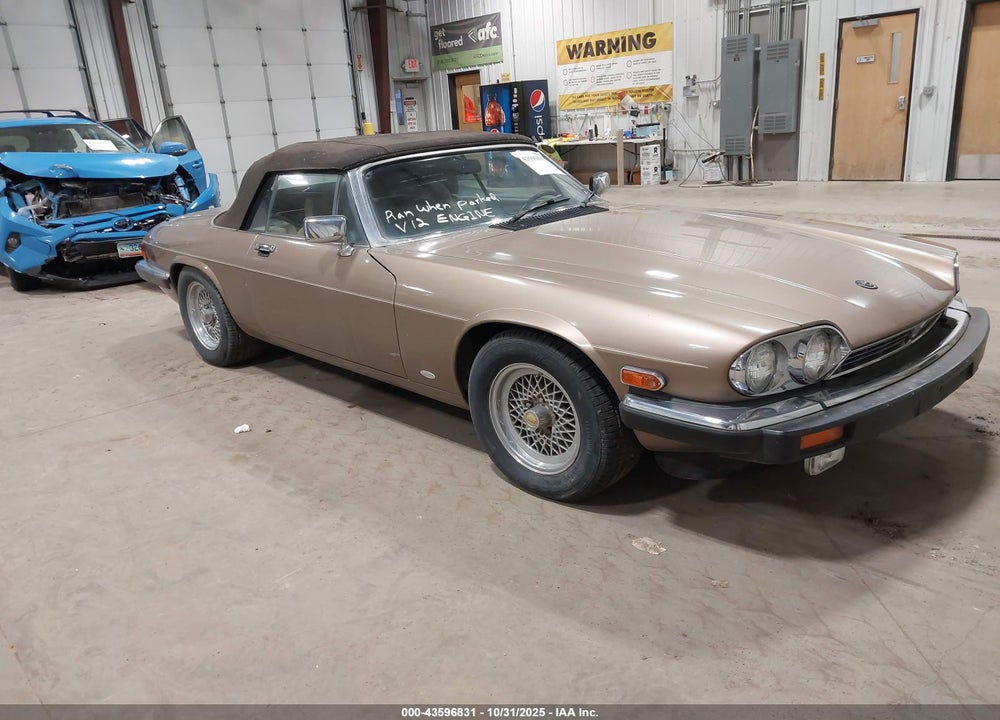 1988 JAGUAR XJS VIN: SAJNV5845JC146973