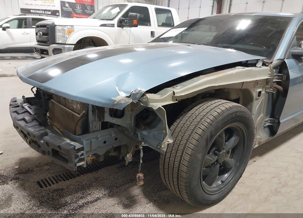 2006 FORD MUSTANG GT VIN: 1ZVFT82H565117729