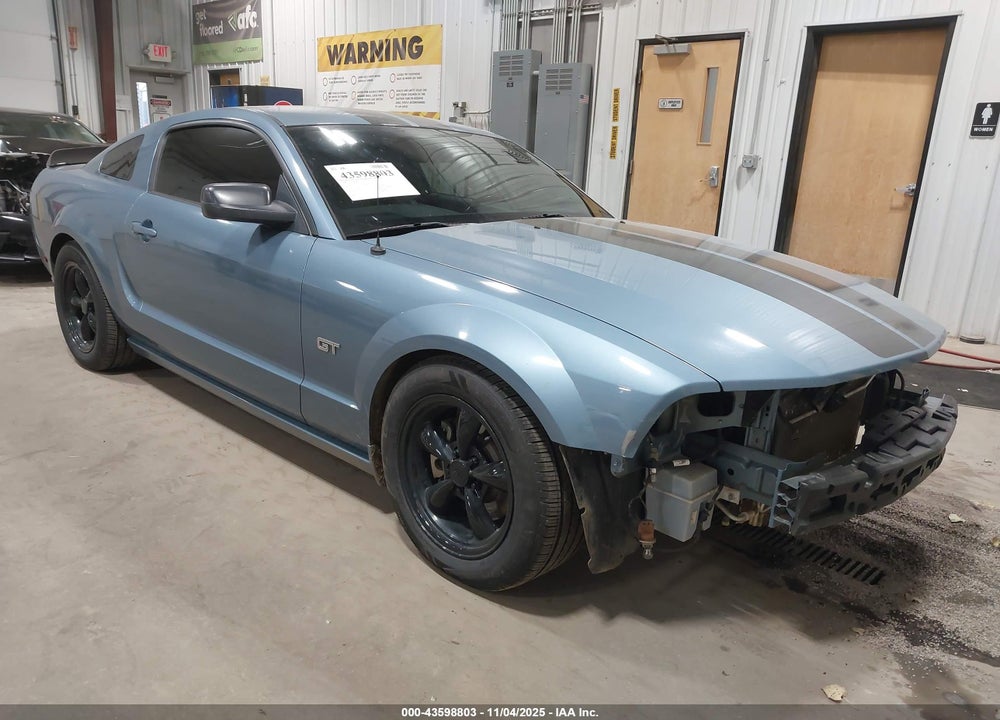 2006 FORD MUSTANG GT VIN: 1ZVFT82H565117729
