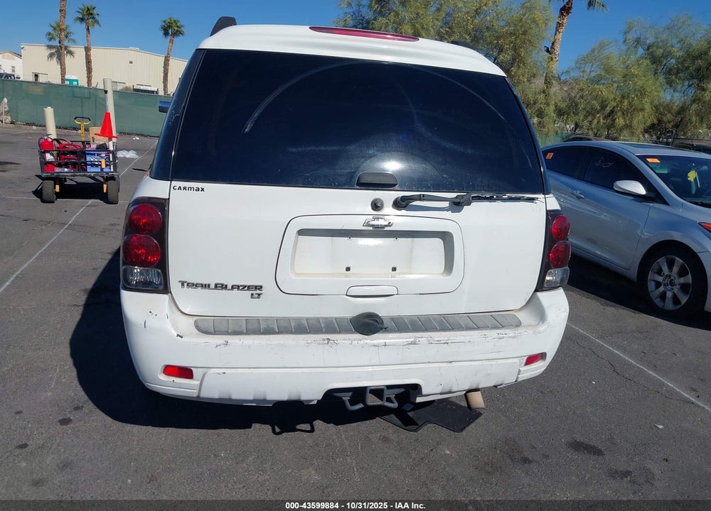 2006 CHEVROLET TRAILBLAZER VIN: 1GNES16S766135911