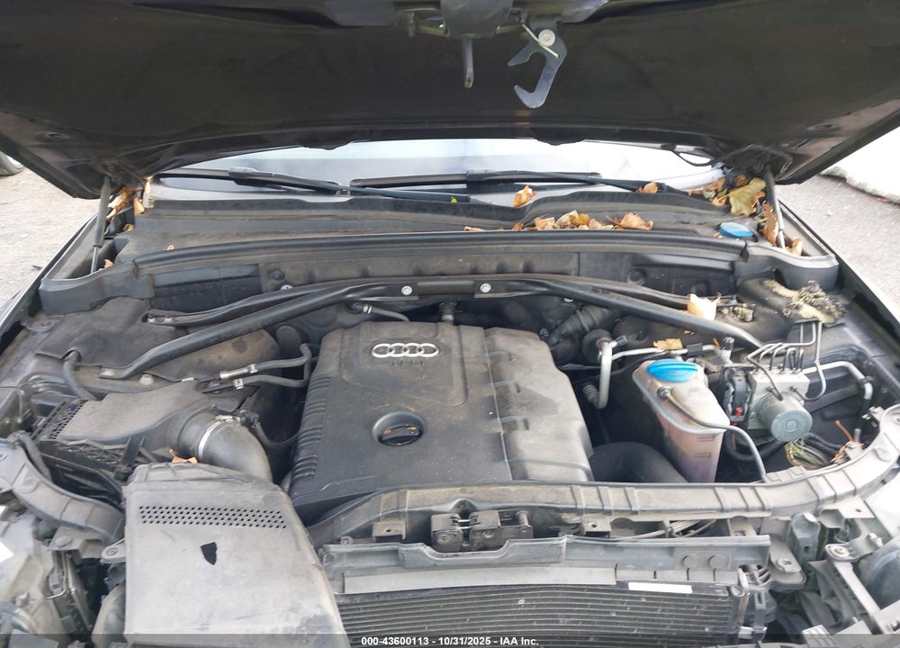 2013 AUDI Q5 VIN: WA1CFAFP0DA067276