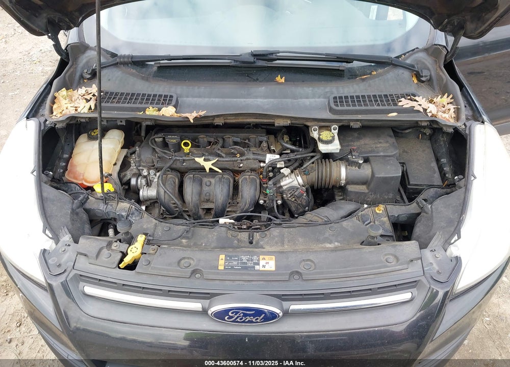 2015 FORD ESCAPE SE VIN: 1FMCU0G7XFUA22704