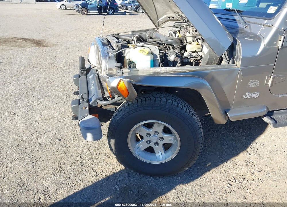 2004 JEEP WRANGLER SAHARA VIN: 1J4FA59S84P749824