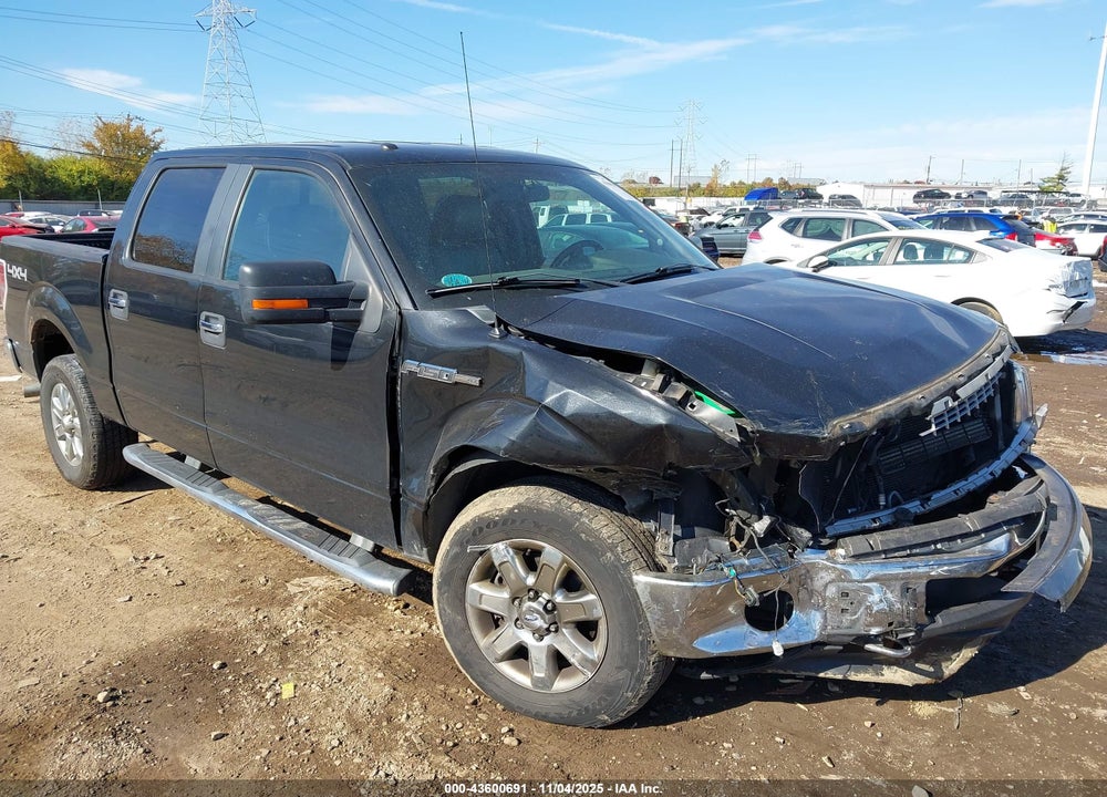 2014 FORD F-150 XLT VIN: 1FTFW1EFXEFC07253