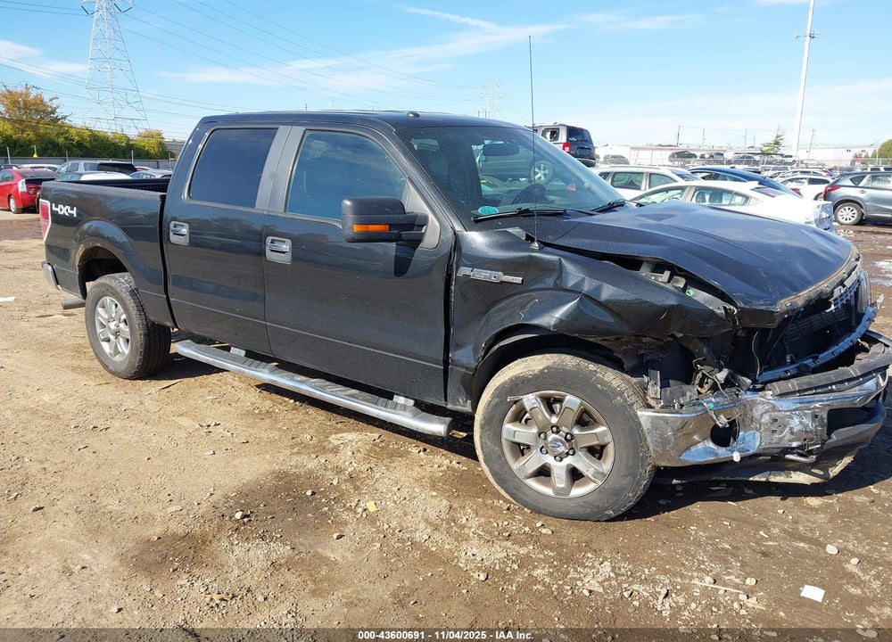 2014 FORD F-150 XLT VIN: 1FTFW1EFXEFC07253