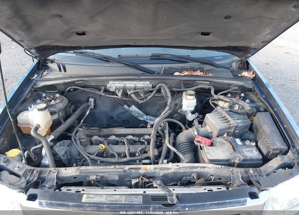 2009 FORD ESCAPE VIN: 1FMCU03789KC81133