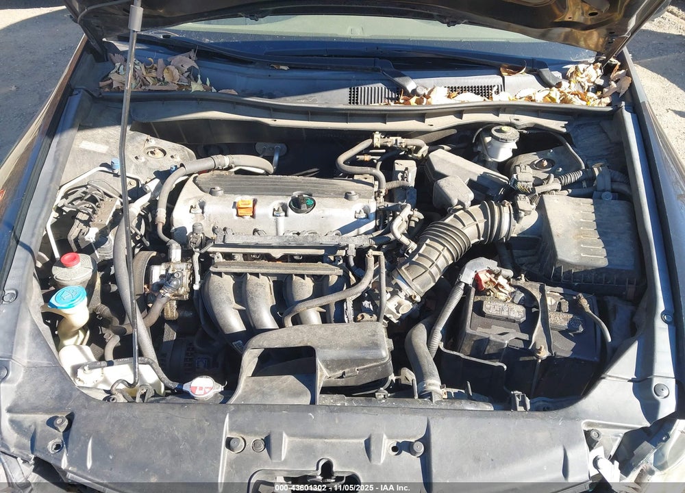 2010 HONDA ACCORD VIN: 1HGCP2F3XAA163905