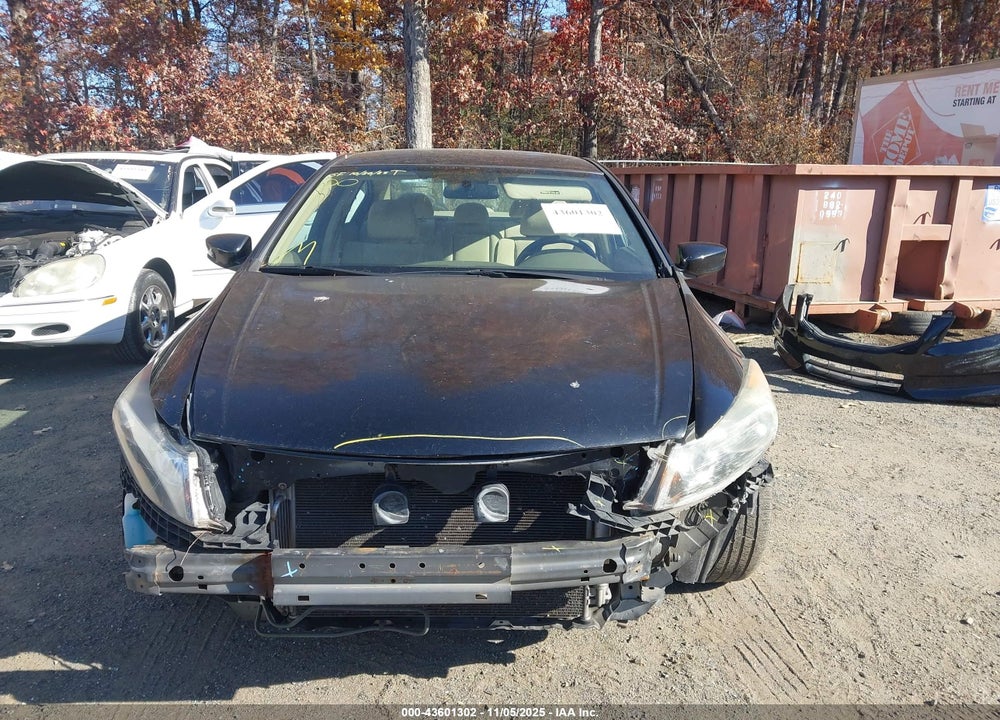 2010 HONDA ACCORD VIN: 1HGCP2F3XAA163905