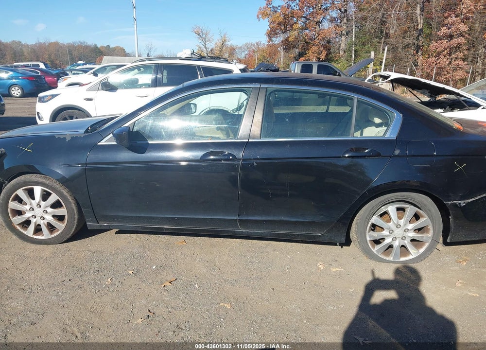 2010 HONDA ACCORD VIN: 1HGCP2F3XAA163905