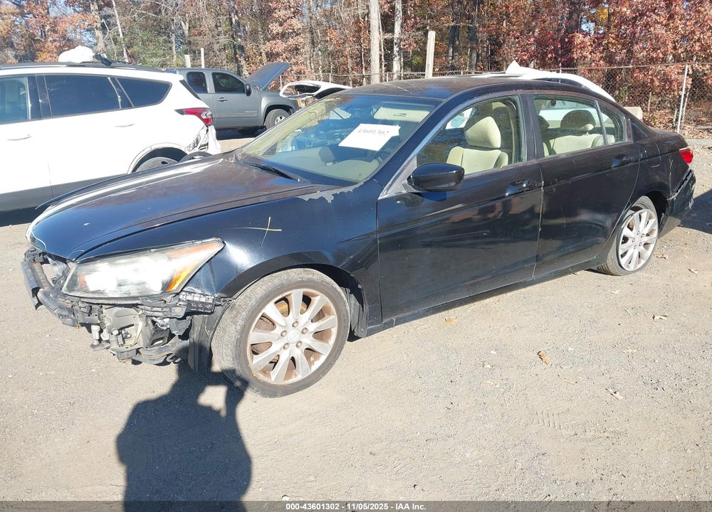 2010 HONDA ACCORD VIN: 1HGCP2F3XAA163905