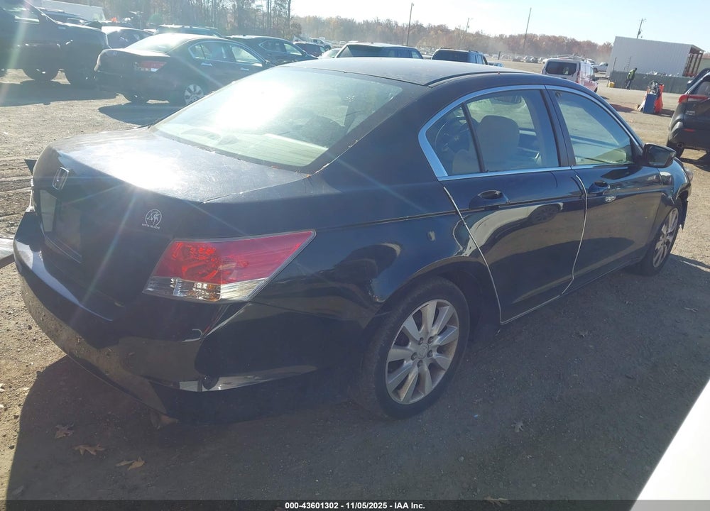 2010 HONDA ACCORD VIN: 1HGCP2F3XAA163905
