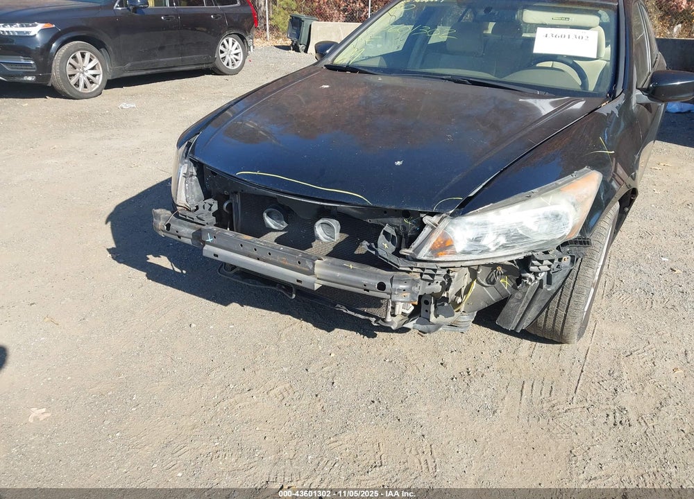 2010 HONDA ACCORD VIN: 1HGCP2F3XAA163905