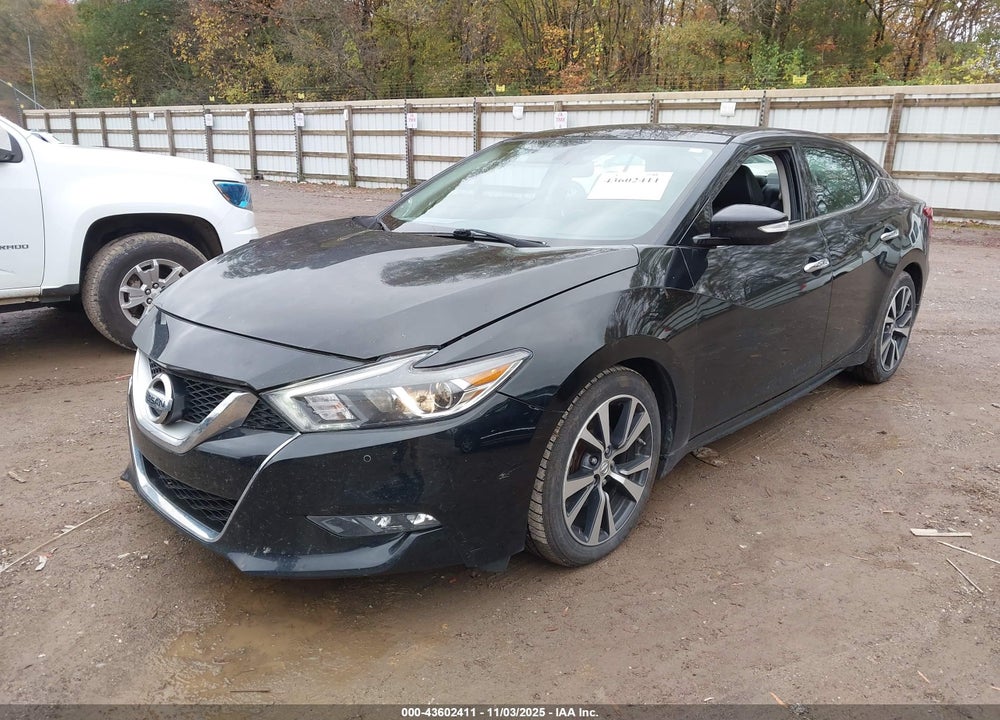 2016 NISSAN MAXIMA VIN: 1N4AA6AP6GC391976