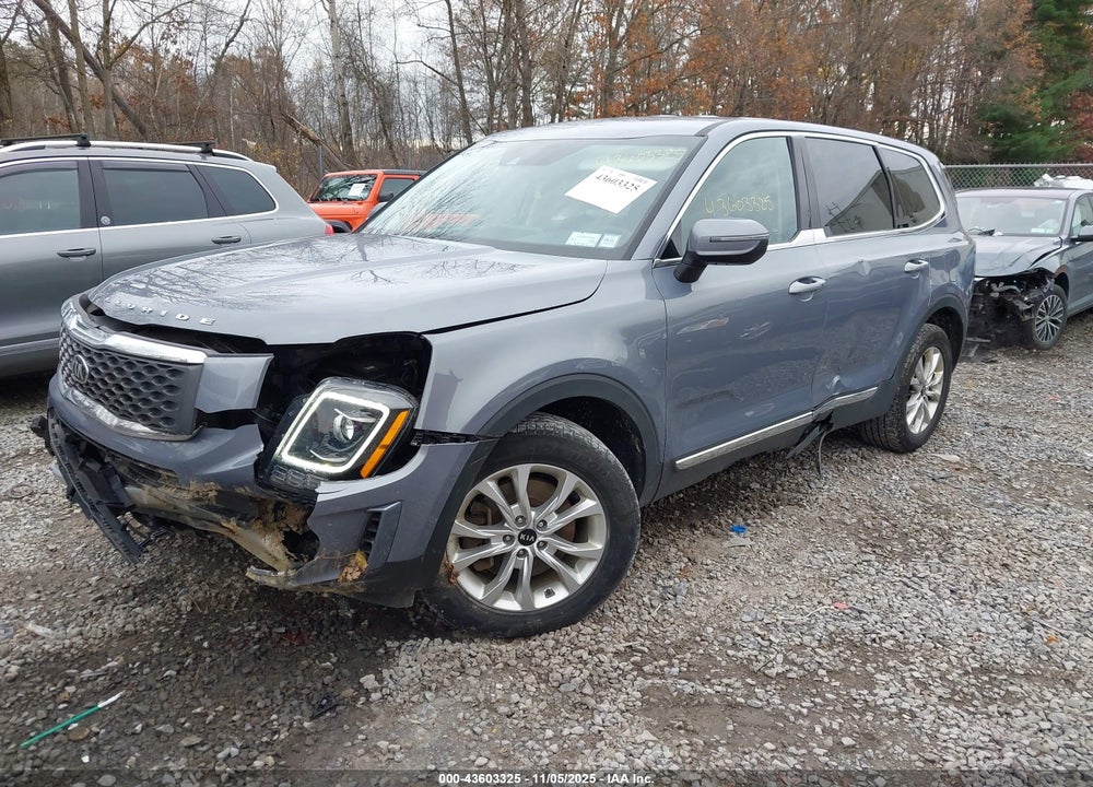 2021 KIA TELLURIDE VIN: 5XYP2DHC7MG174632