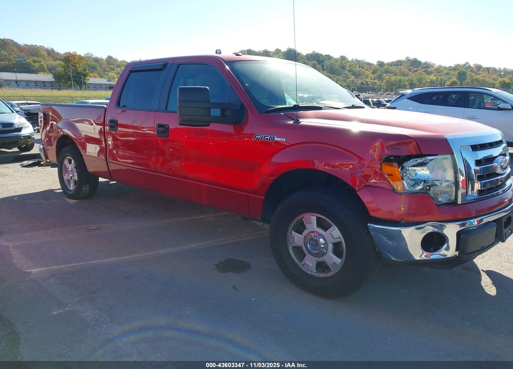 2010 FORD F-150 XLT VIN: 1FTFW1CV4AFC37806