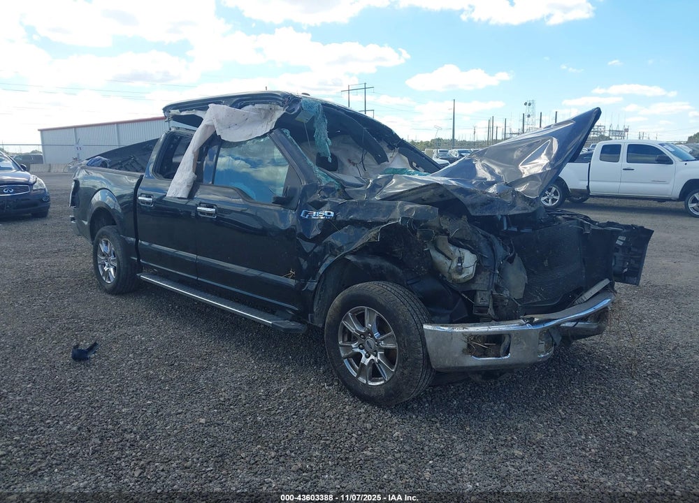 2016 FORD F-150 XLT VIN: 1FTEW1CF0GFA50527