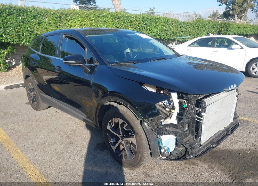 2024 KIA SPORTAGE EX VIN: 5XYK33DF2RG210056