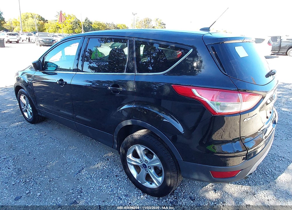 2014 FORD ESCAPE SE VIN: 1FMCU0GX9EUE09548