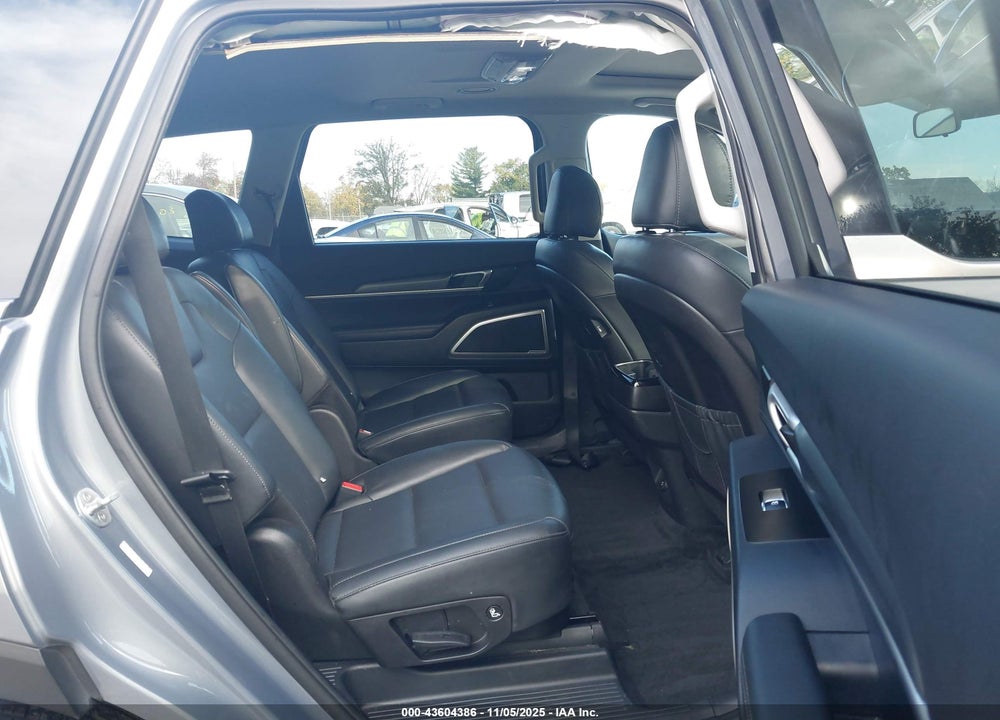 2021 KIA TELLURIDE S VIN: 5XYP6DHCXMG116633