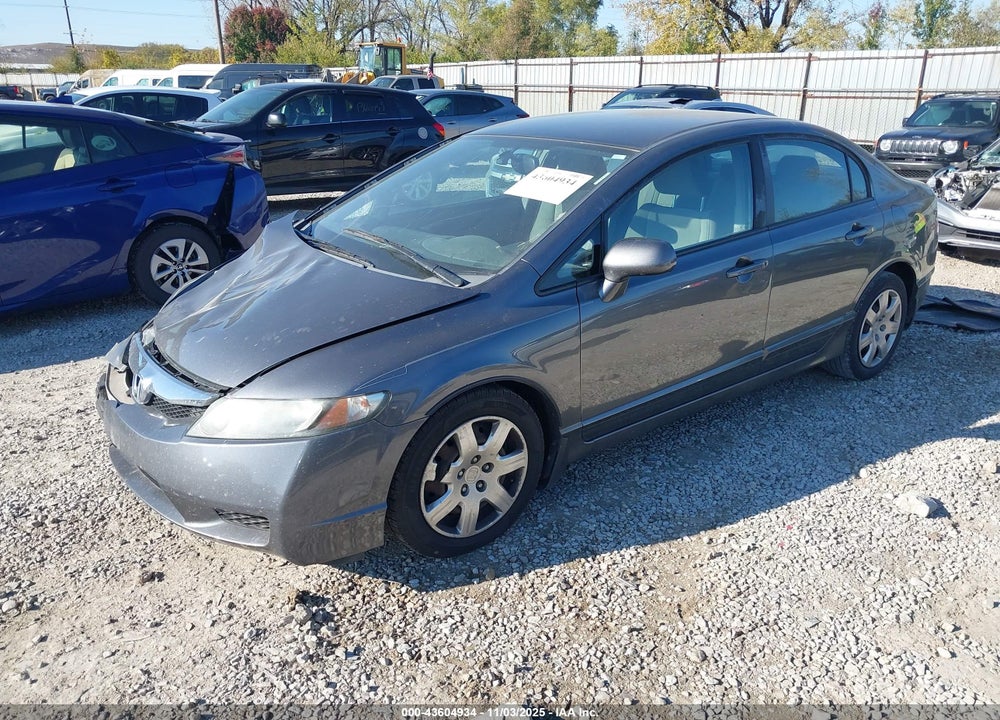 2010 HONDA CIVIC LX VIN: 19XFA1F58AE005696