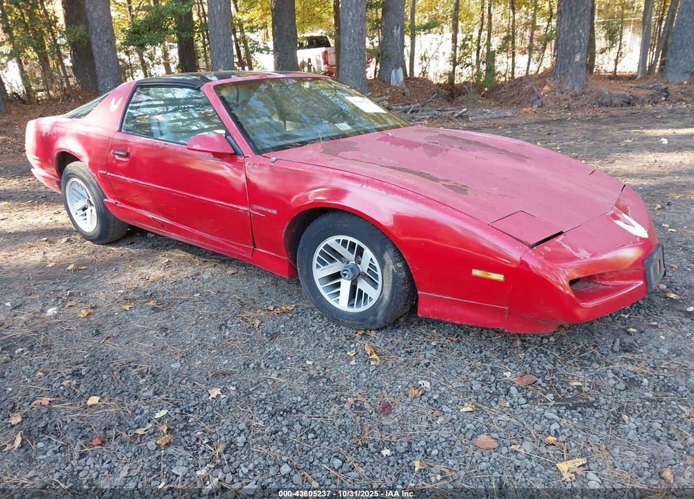 1991 PONTIAC FIREBIRD FORMULA VIN: 1G2FS23E5ML215809