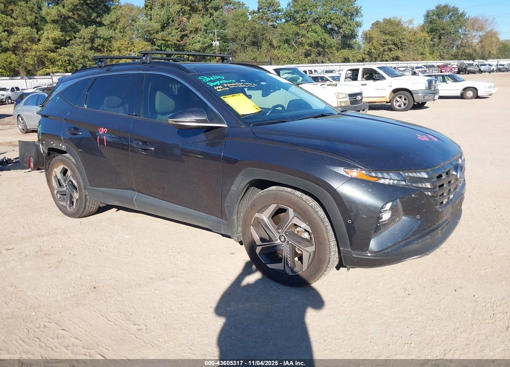 2024 HYUNDAI TUCSON LIMITED VIN: 5NMJE3DE8RH343519