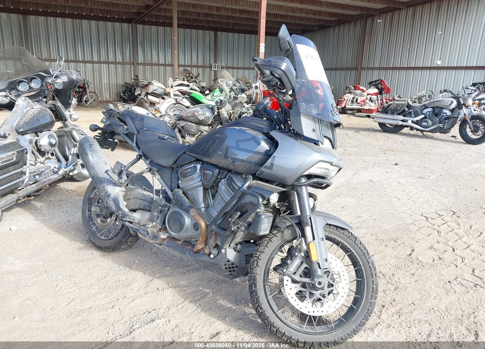 2021 HARLEY-DAVIDSON RA1250 S VIN: 1HD1ZES19MB300609