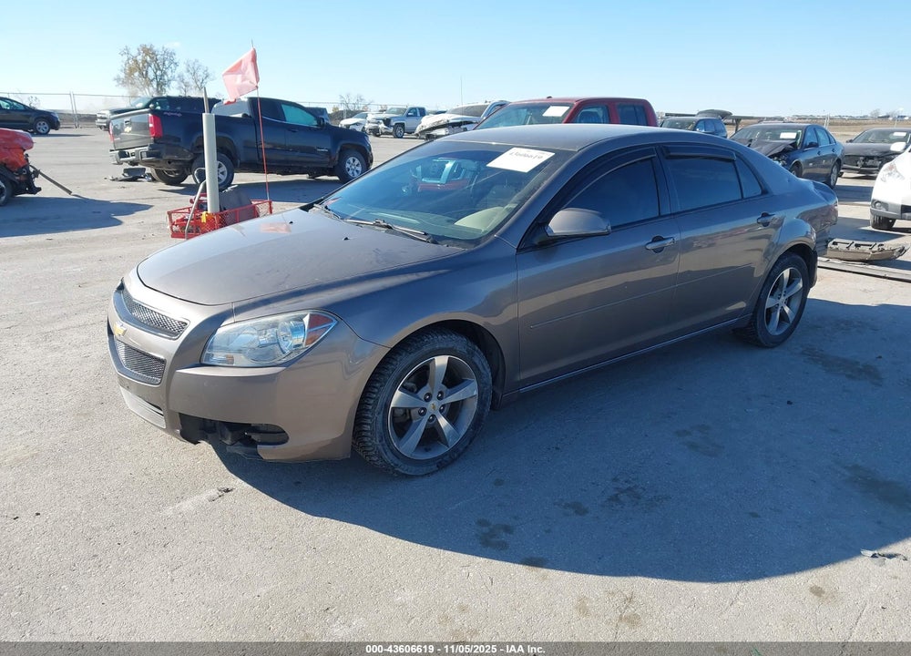 2011 CHEVROLET MALIBU 1LT VIN: 1G1ZC5E10BF206232