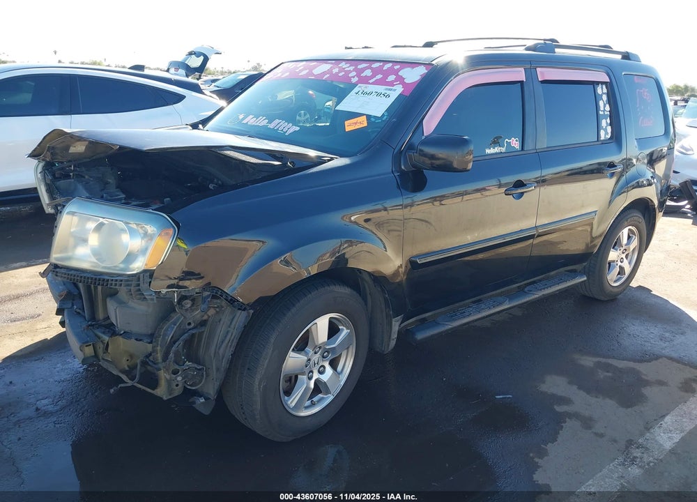 2009 HONDA PILOT EX-L VIN: 5FNYF38569B015958