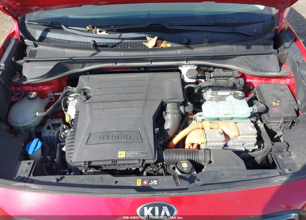 2019 KIA NIRO VIN: KNDCB3LC3K5303455