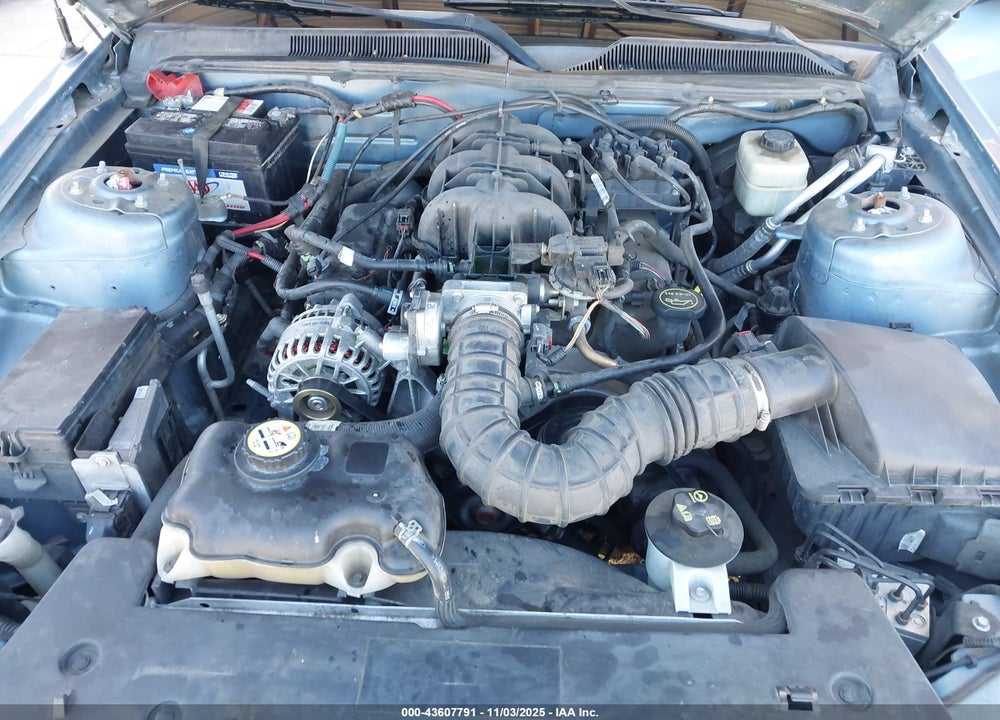2007 FORD MUSTANG VIN: 1ZVFT84NX75297925
