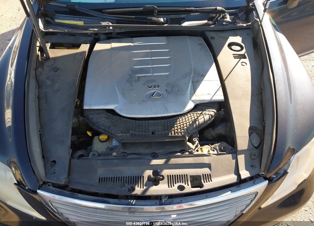 2009 LEXUS LS 460 VIN: JTHBL46F395086292