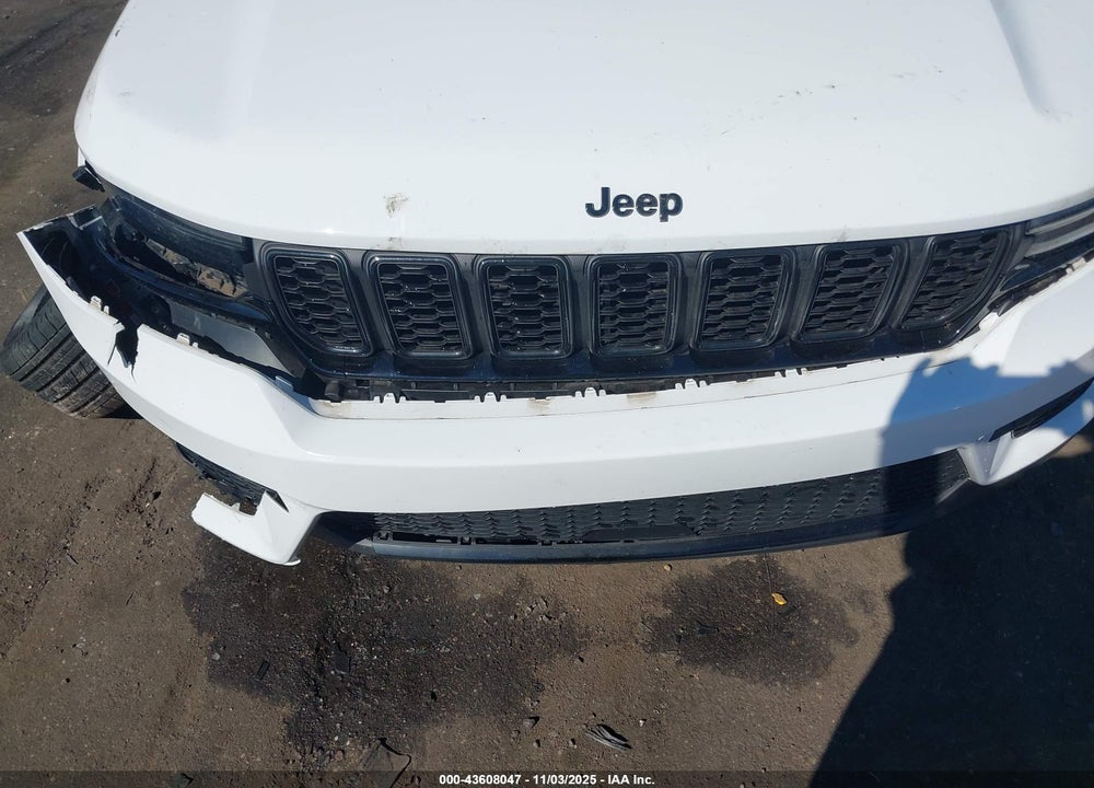 2024 JEEP GRAND CHEROKEE VIN: 1C4RJHAG2R8934738