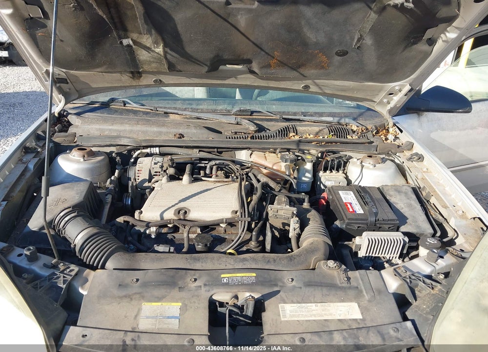 2004 CHEVROLET MALIBU LS VIN: 1G1ZT52844F187303