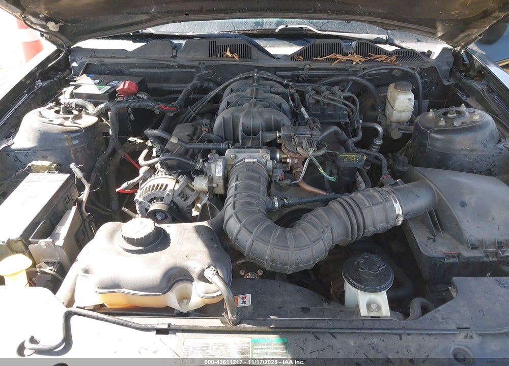 2010 FORD MUSTANG VIN: 1ZVBP8EN6A5122242