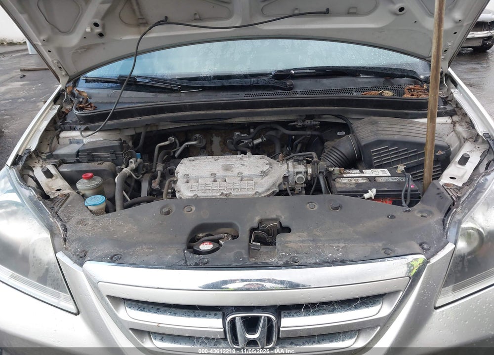 2006 HONDA ODYSSEY LX VIN: 5FNRL38226B106238