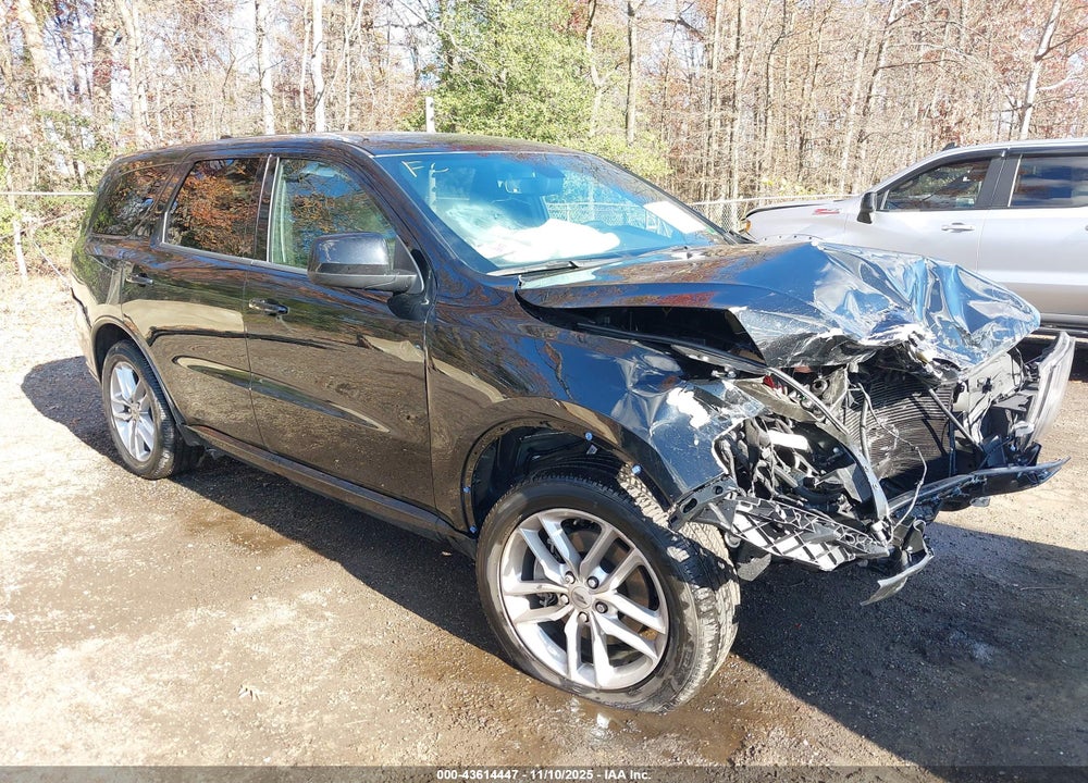 2024 DODGE DURANGO GT AWD VIN: 1C4RDJDG2RC176648