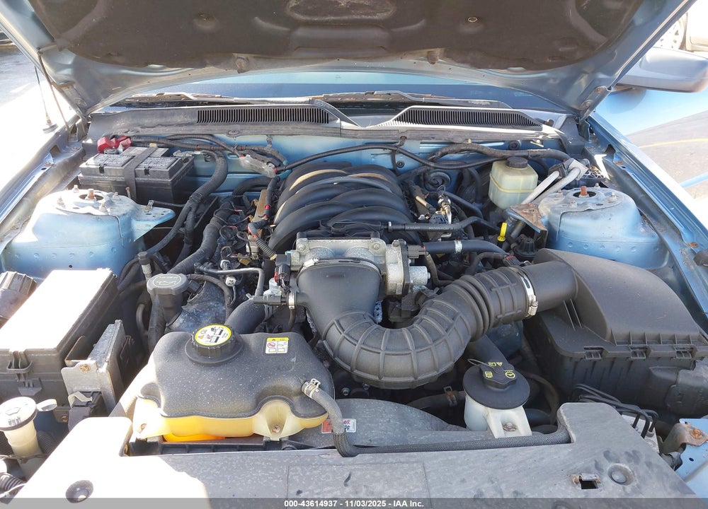 2006 FORD MUSTANG VIN: 1ZVFT82H365136022