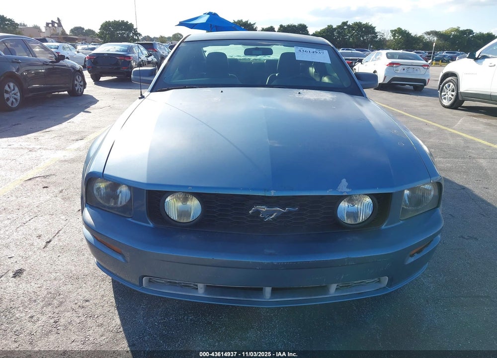 2006 FORD MUSTANG VIN: 1ZVFT82H365136022
