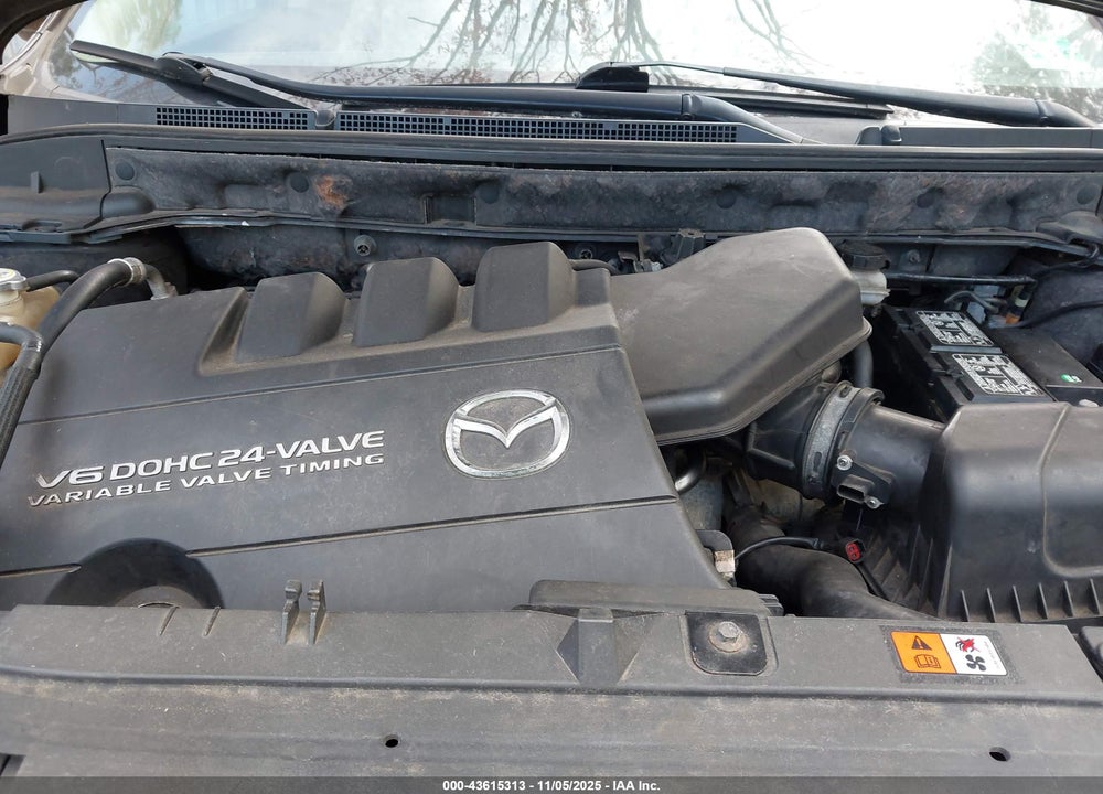 2009 MAZDA CX-9 VIN: JM3TB38V690166083